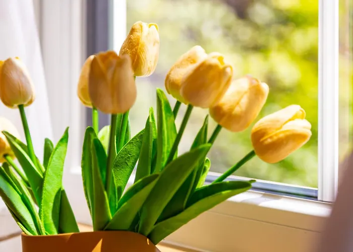 公寓 Happy People 1-bd - White By Flat Mаnager *