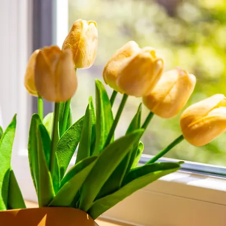 Appartement Happy People 1-bd - White By Flat Mаnager *